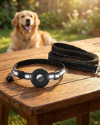 Collier réfléchissant pour chien — en situation